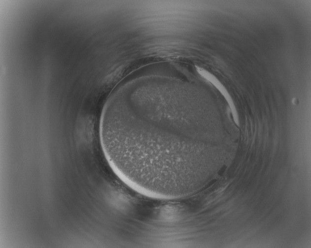 X0000063460412200602031839