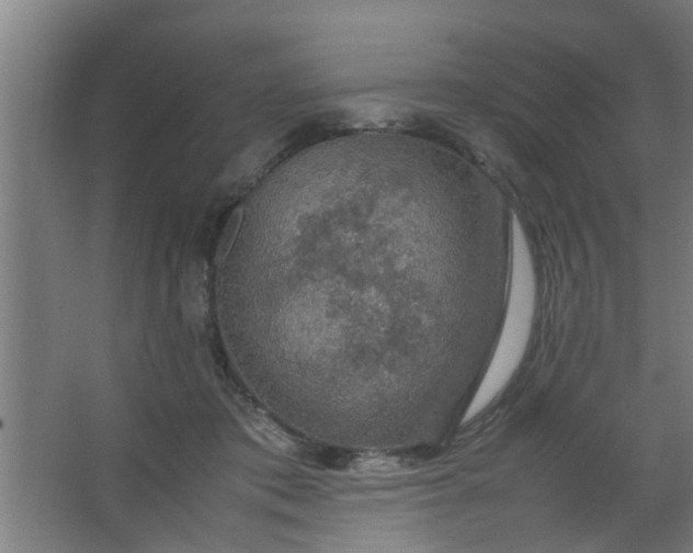 X0000063460413200602031839