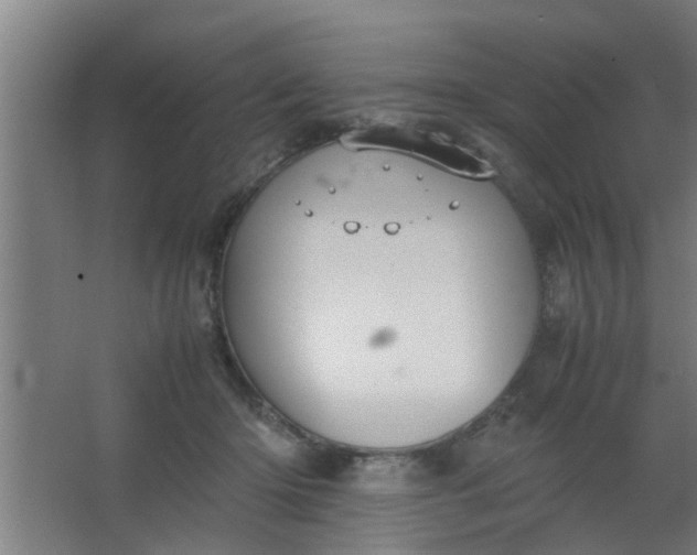 X0000063460414200602031839