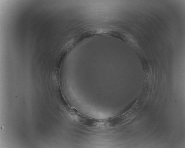 X0000063460415200602031839