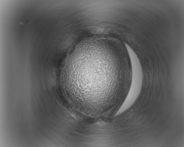 X0000063460416200602031839