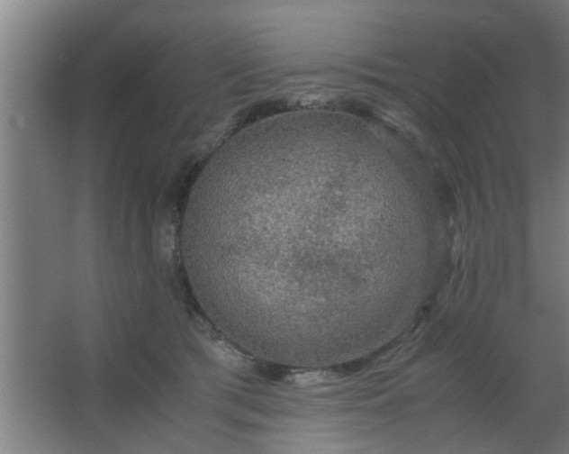 X0000063460417200602031839