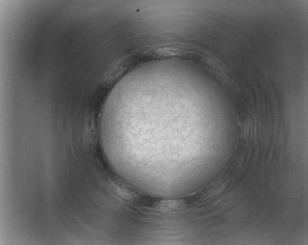 X0000063460418200602031839