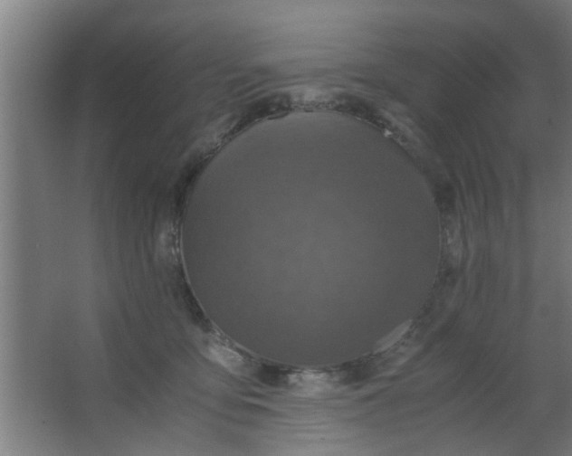 X0000063460419200602031839