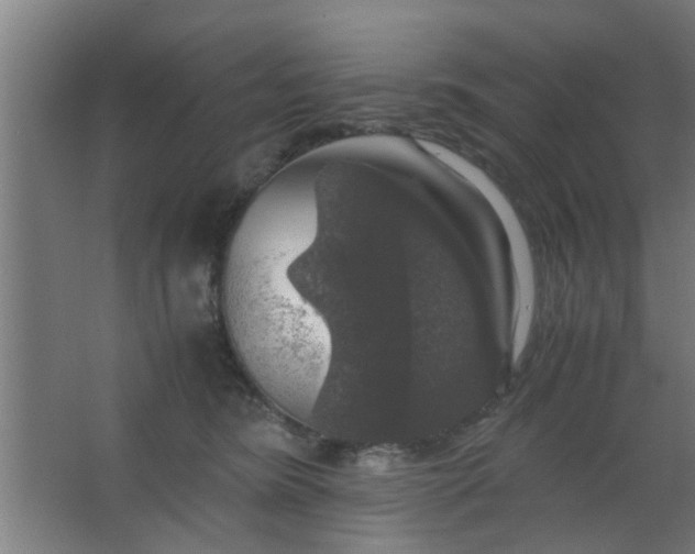 X0000063460420200602031839