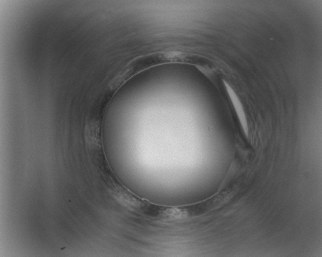 X0000063460421200602031839