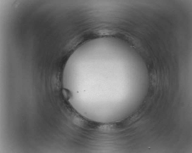 X0000063460422200602031839