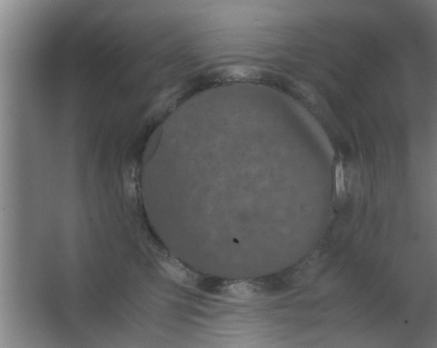 X0000063460423200602031839