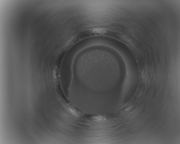 X0000063460424200602031839