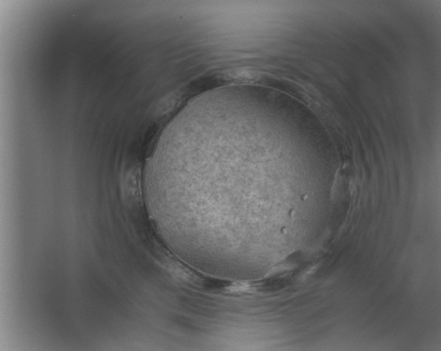 X0000063460425200602031839