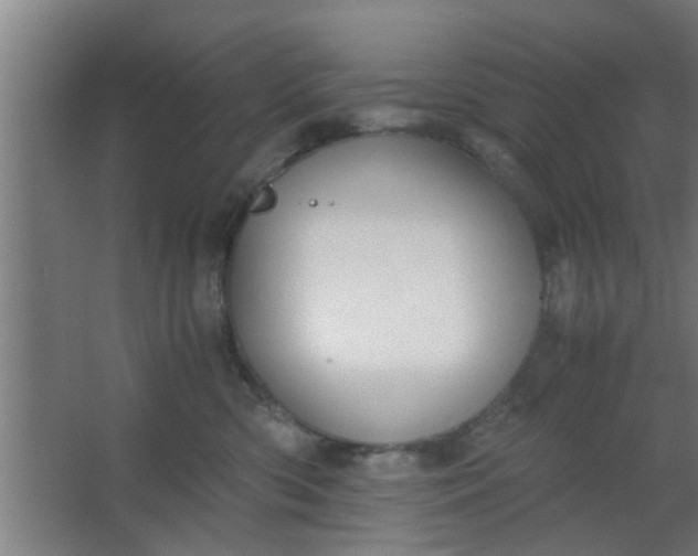 X0000063460426200602031839