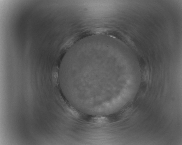 X0000063460427200602031839