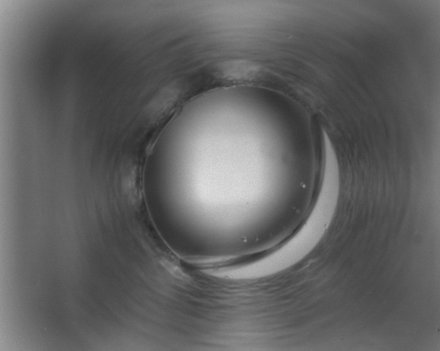 X0000063460428200602031839