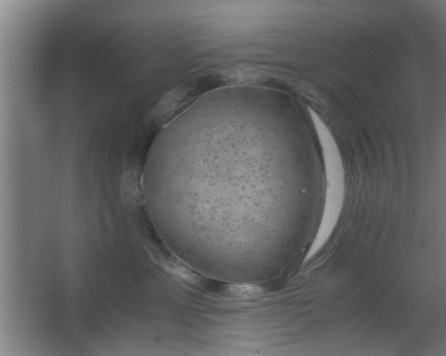 X0000063460429200602031839