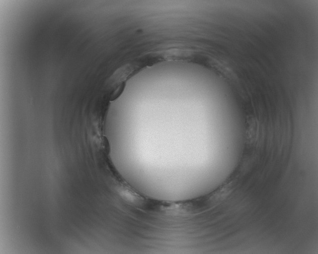 X0000063460430200602031839