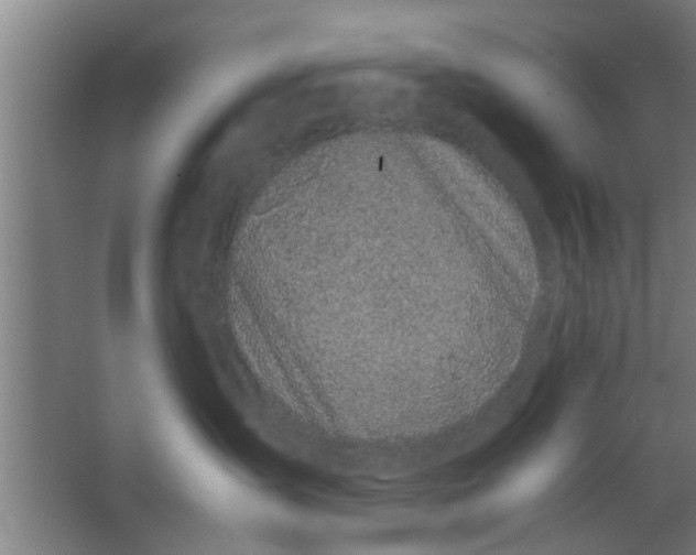 X0000063460431200602031838