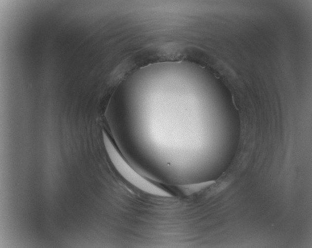 X0000063460432200602031838