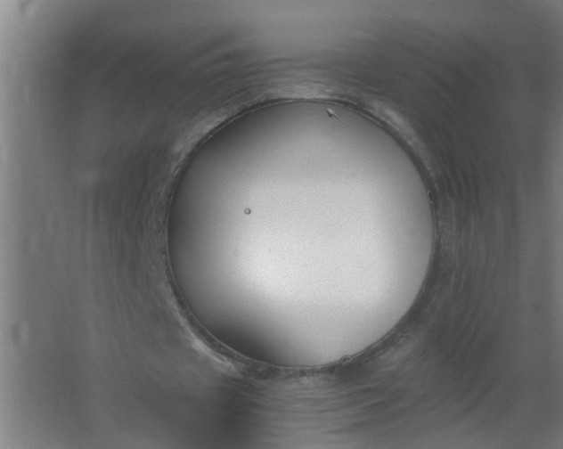 X0000063460433200602031838