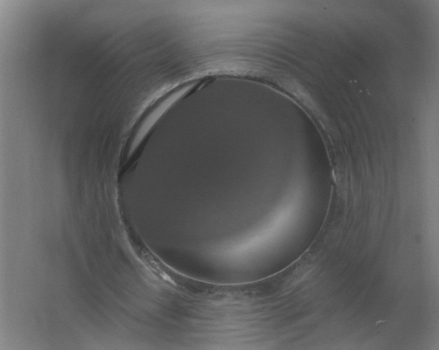 X0000063460434200602031838