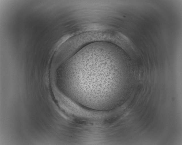 X0000063460436200602031838