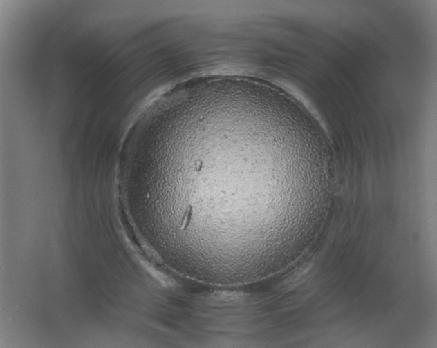 X0000063460437200602031838