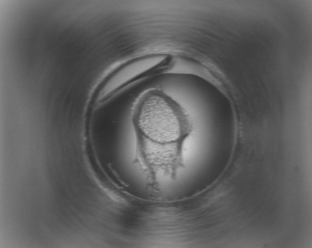 X0000063460438200602031838