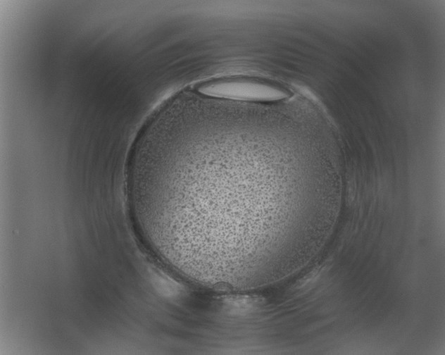 X0000063460439200602031838