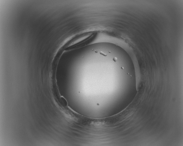 X0000063460440200602031838