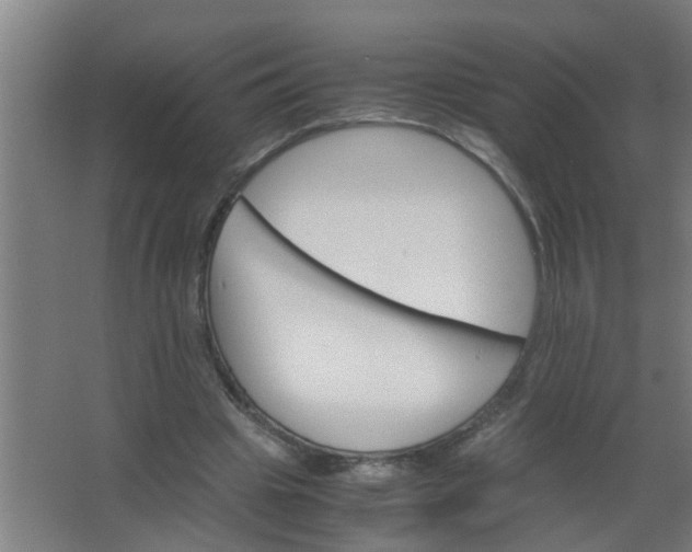 X0000063460441200602031838