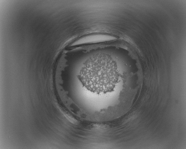 X0000063460442200602031838