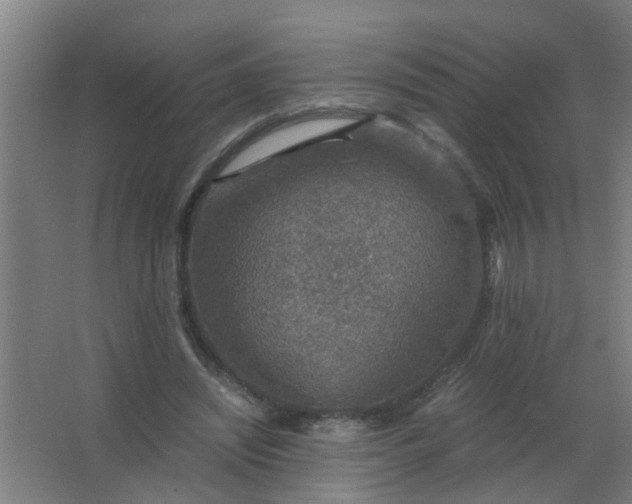 X0000063460444200602031838