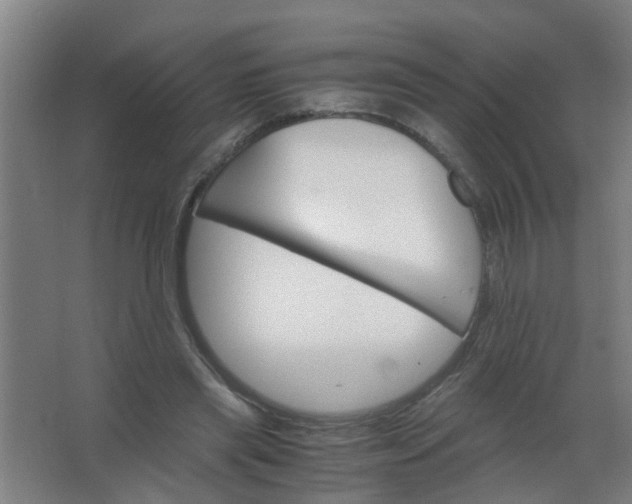 X0000063460445200602031838