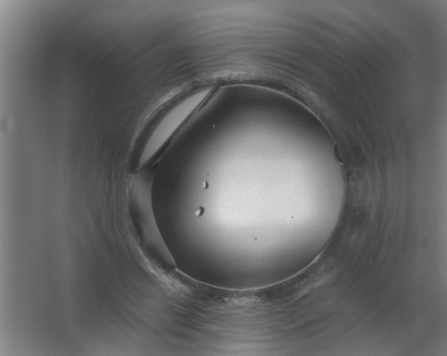 X0000063460446200602031838