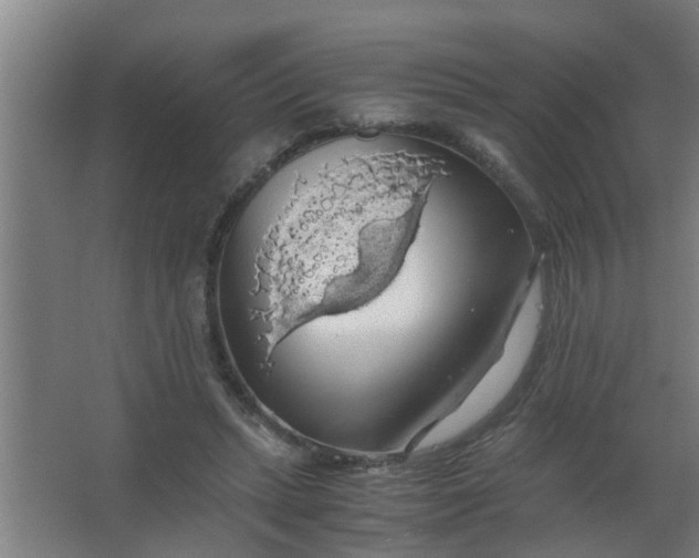 X0000063460447200602031838