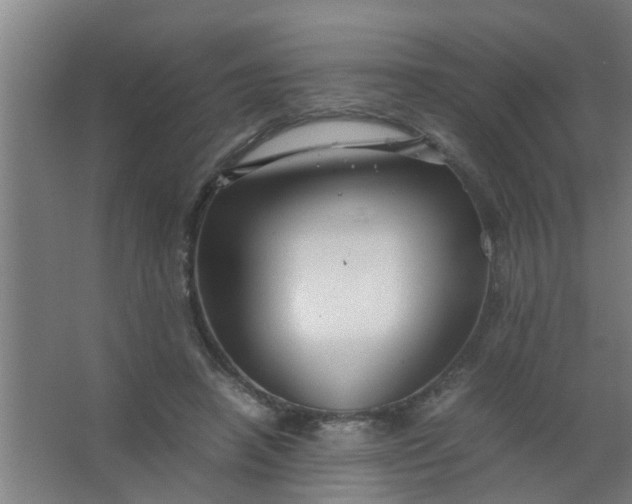 X0000063460450200602031838