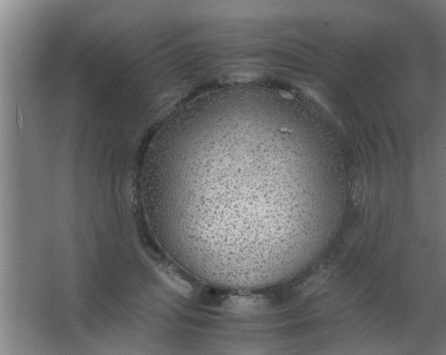 X0000063460455200602031838