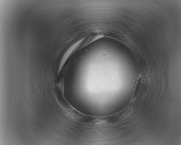 X0000063460456200602031838