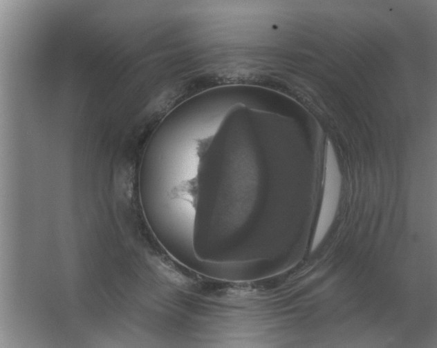 X0000063460458200602031838