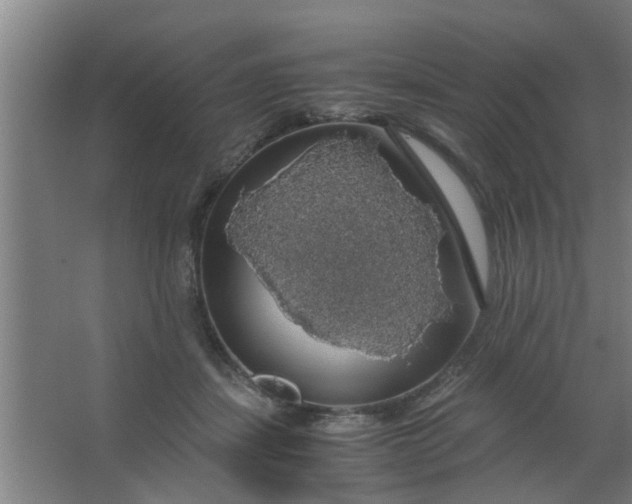 X0000063460459200602031838