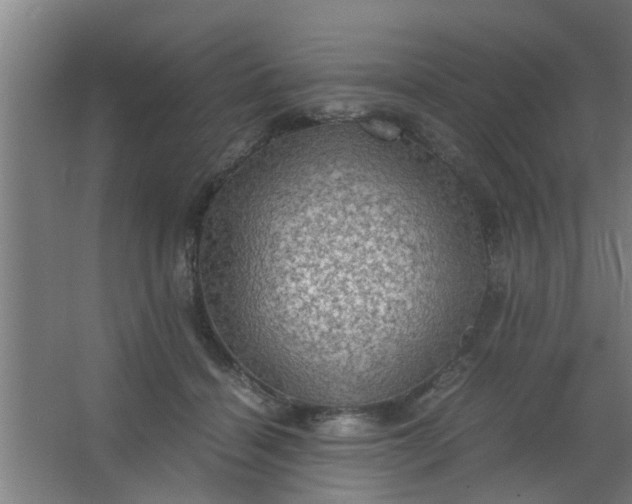 X0000063460460200602031838