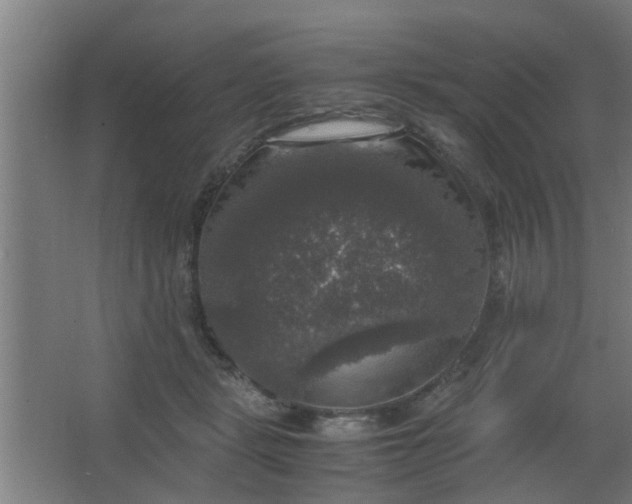 X0000063460461200602031838