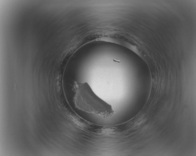 X0000063460462200602031838