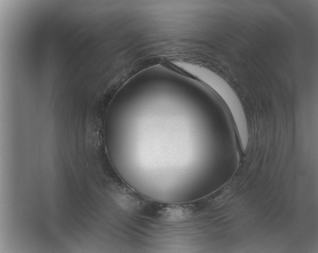 X0000063460464200602031838