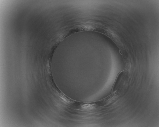 X0000063460465200602031838