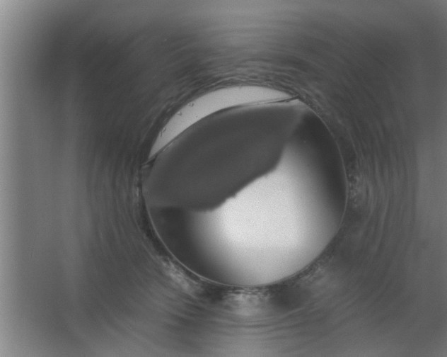 X0000063460466200602031838