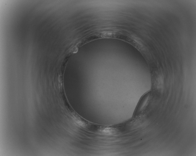 X0000063460467200602031838