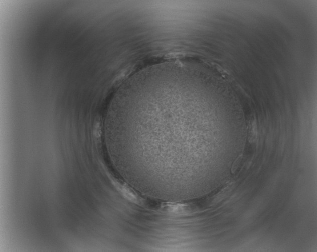 X0000063460472200602031838