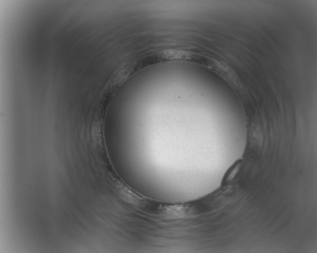 X0000063460473200602031838