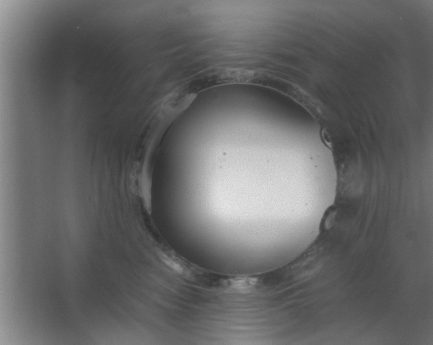 X0000063460474200602031838