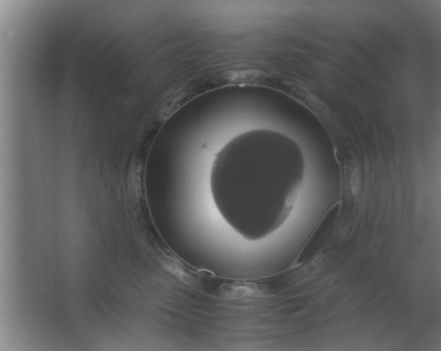 X0000063460475200602031838